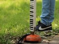 Praktična nastava 2023